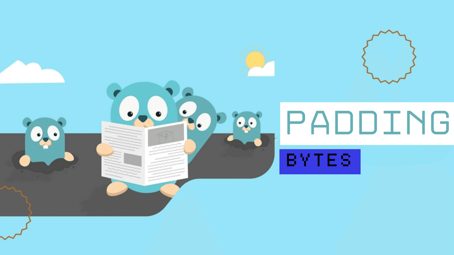 Padding Bytes, Why Should You Care About It?